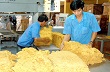 Công ty cổ phần cao su Đồng Phú chia cổ tức năm 2012 mức 40% 
